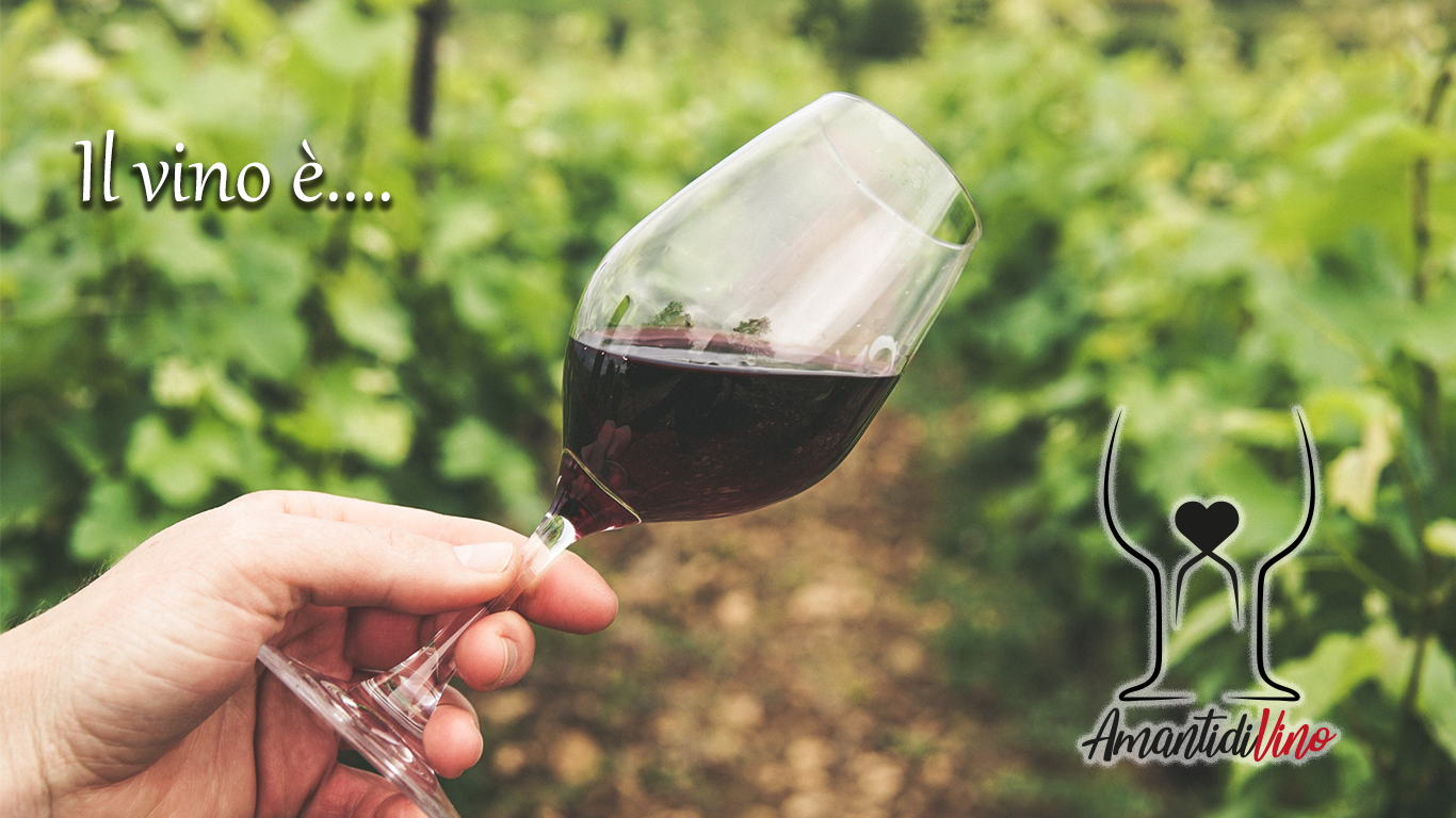 Il vino è…dove trovare bellissime frasi sul vino