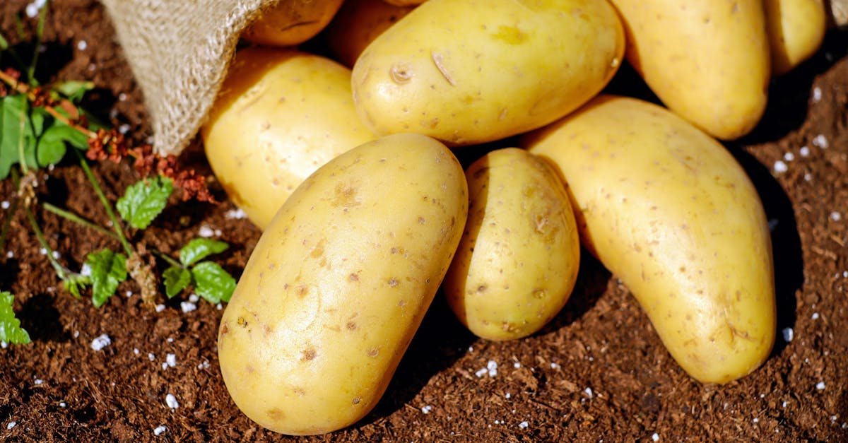 Come cuocere le patate al microonde
